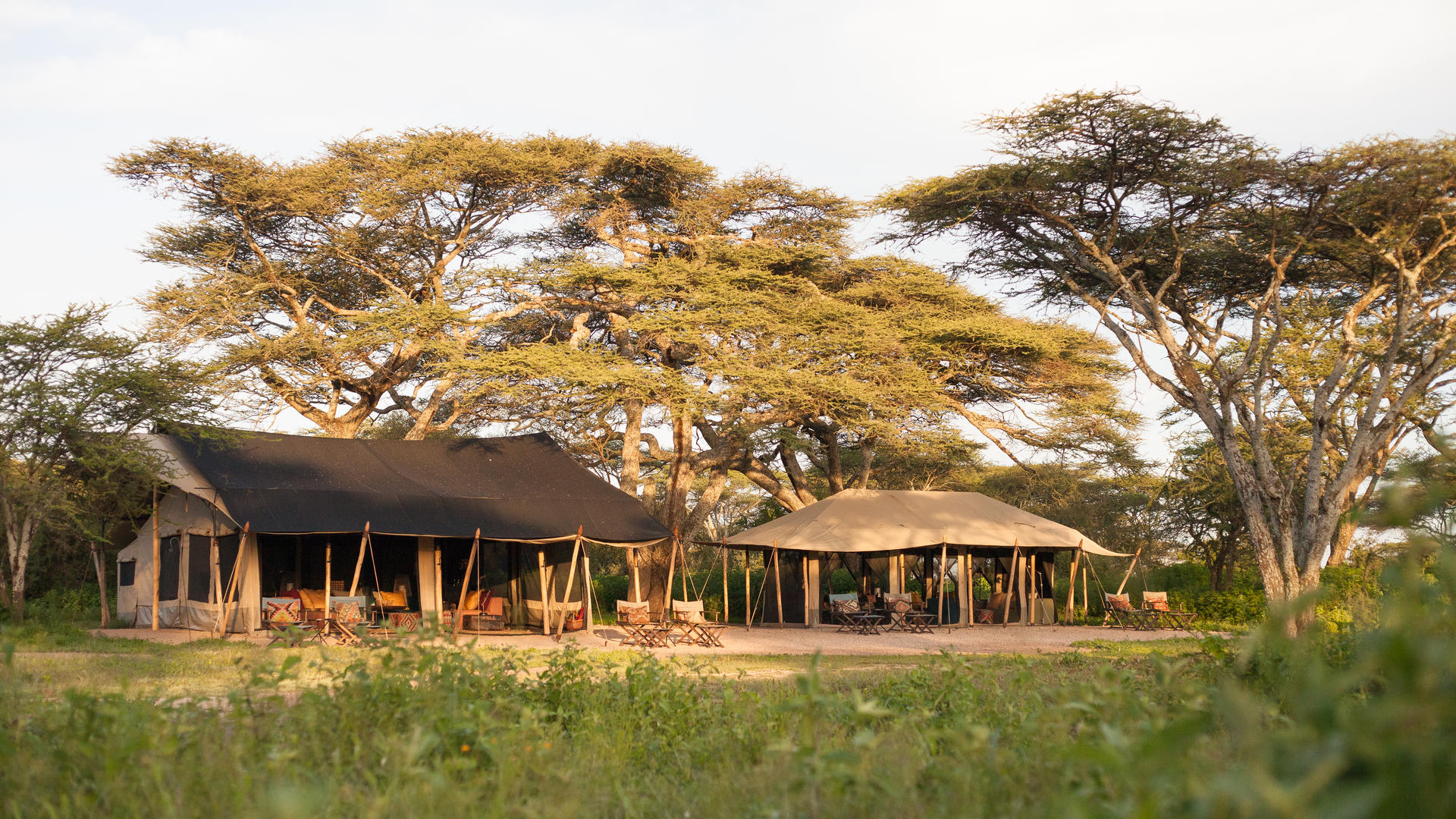 Legendary Nyasi Tented Camp en Serengeti