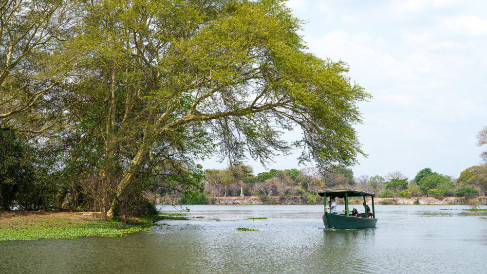 Mkulumadzi Lodge en Reserva de Vida Silvestre de Majete