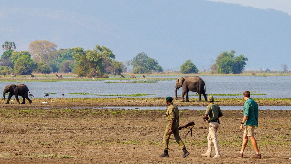 Mkulumadzi Lodge en Reserva de Vida Silvestre de Majete