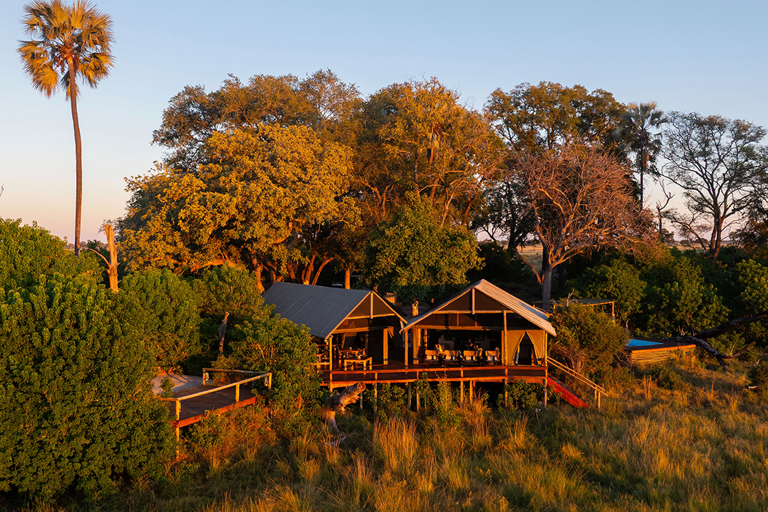 Mokolwane en Delta Okavango