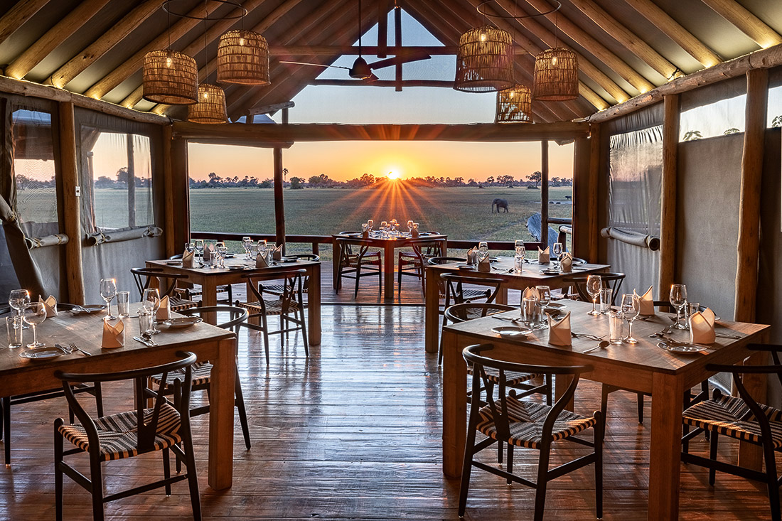 Mokolwane en Delta Okavango