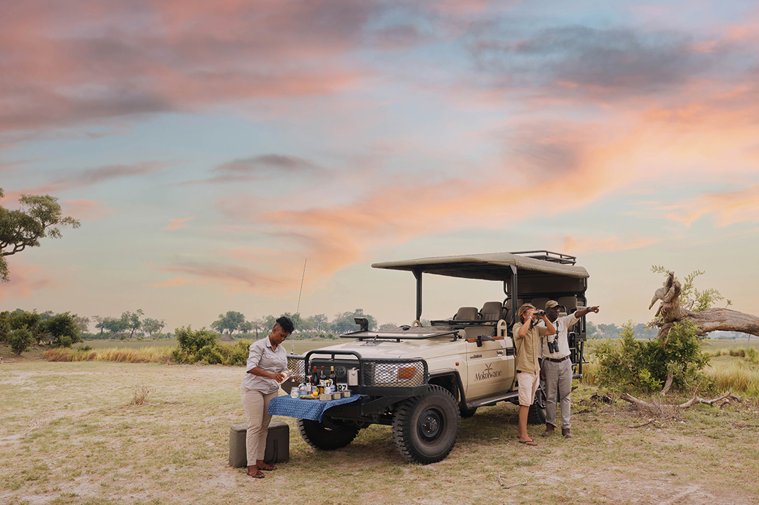Mokolwane en Delta Okavango