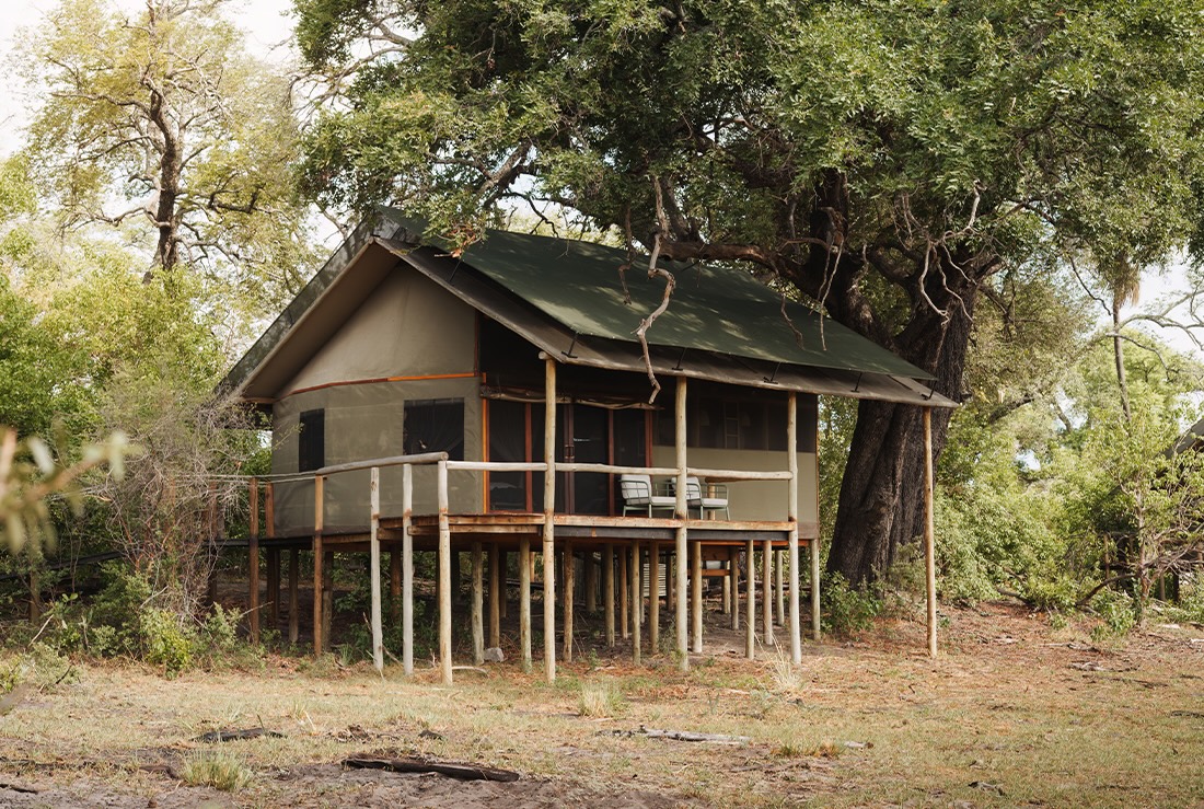 Mokolwane en Delta Okavango