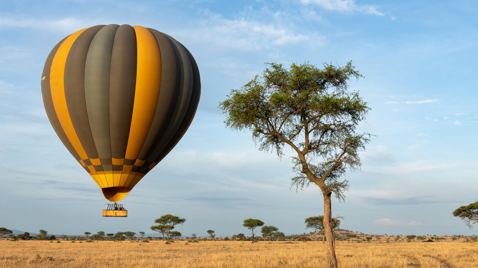 Singita Kilima en Serengeti