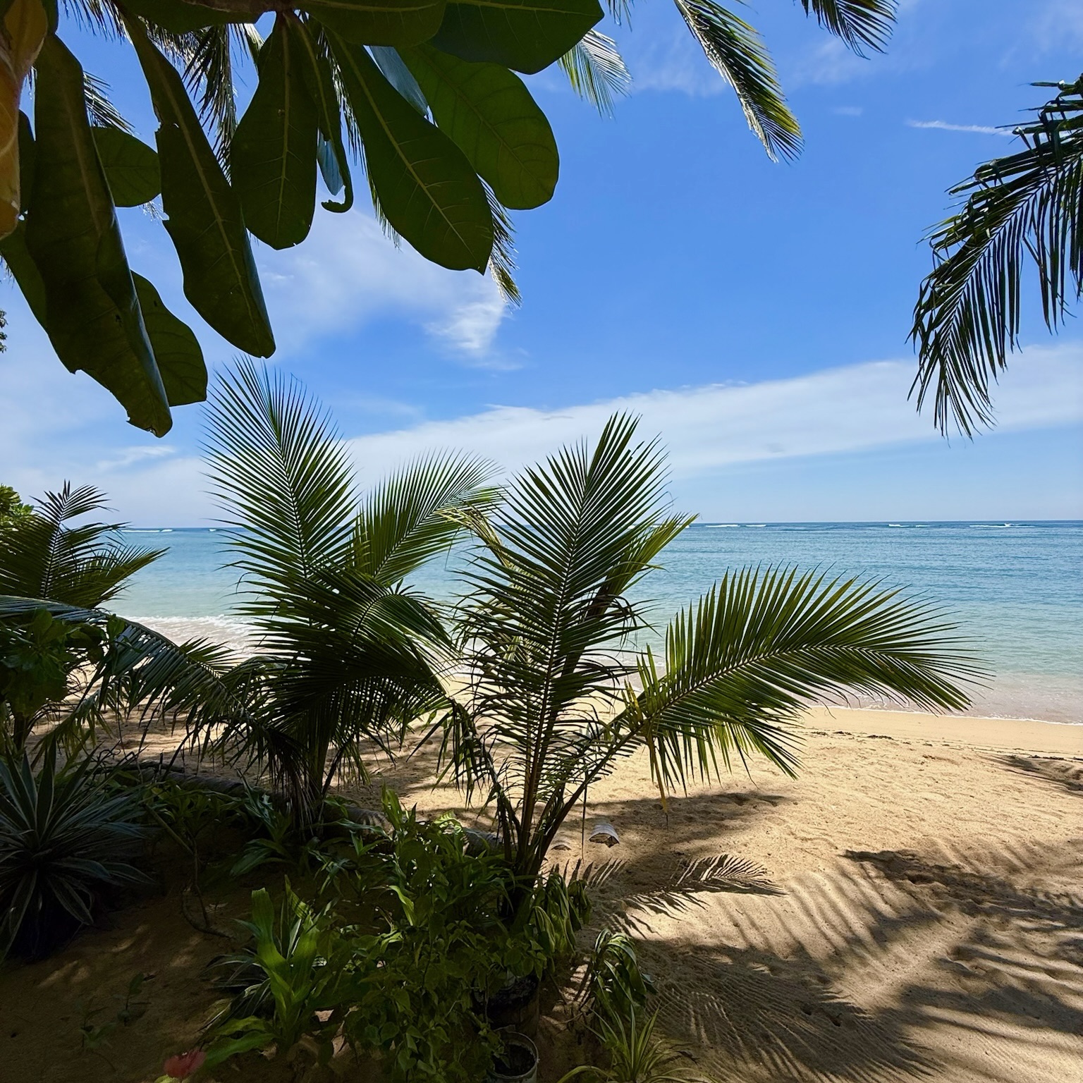 Cambaya Beach Resort en Busuanga