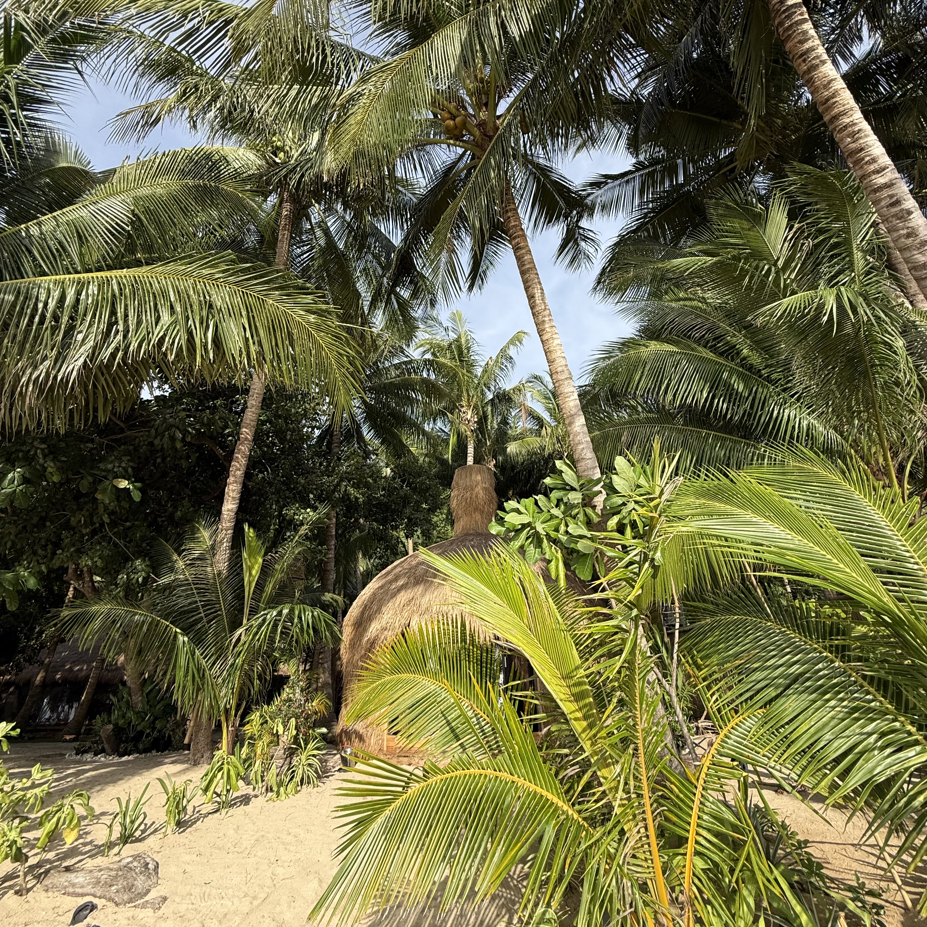 Cambaya Beach Resort en Busuanga