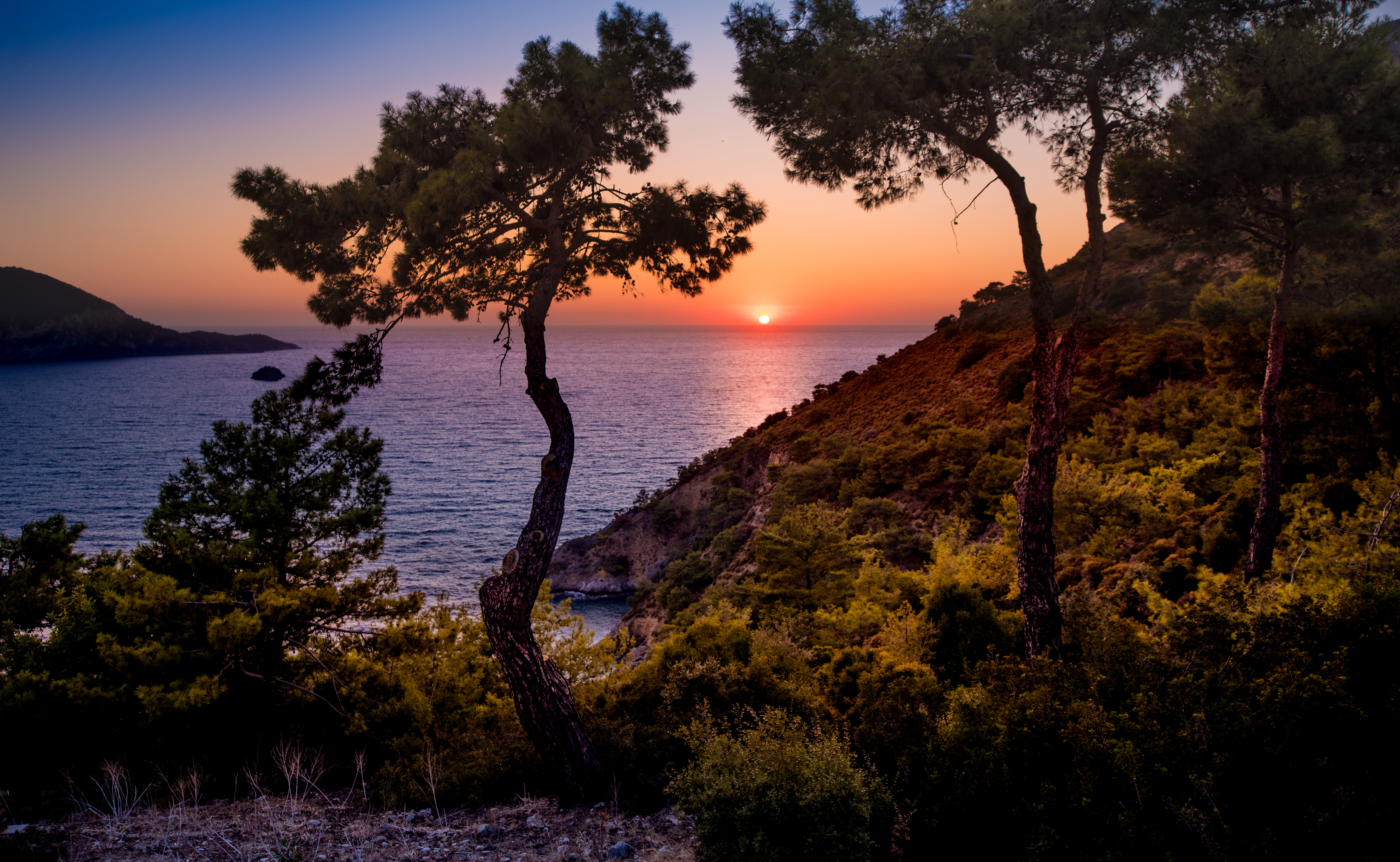 Gokce gemile forest ridge sunset bay view