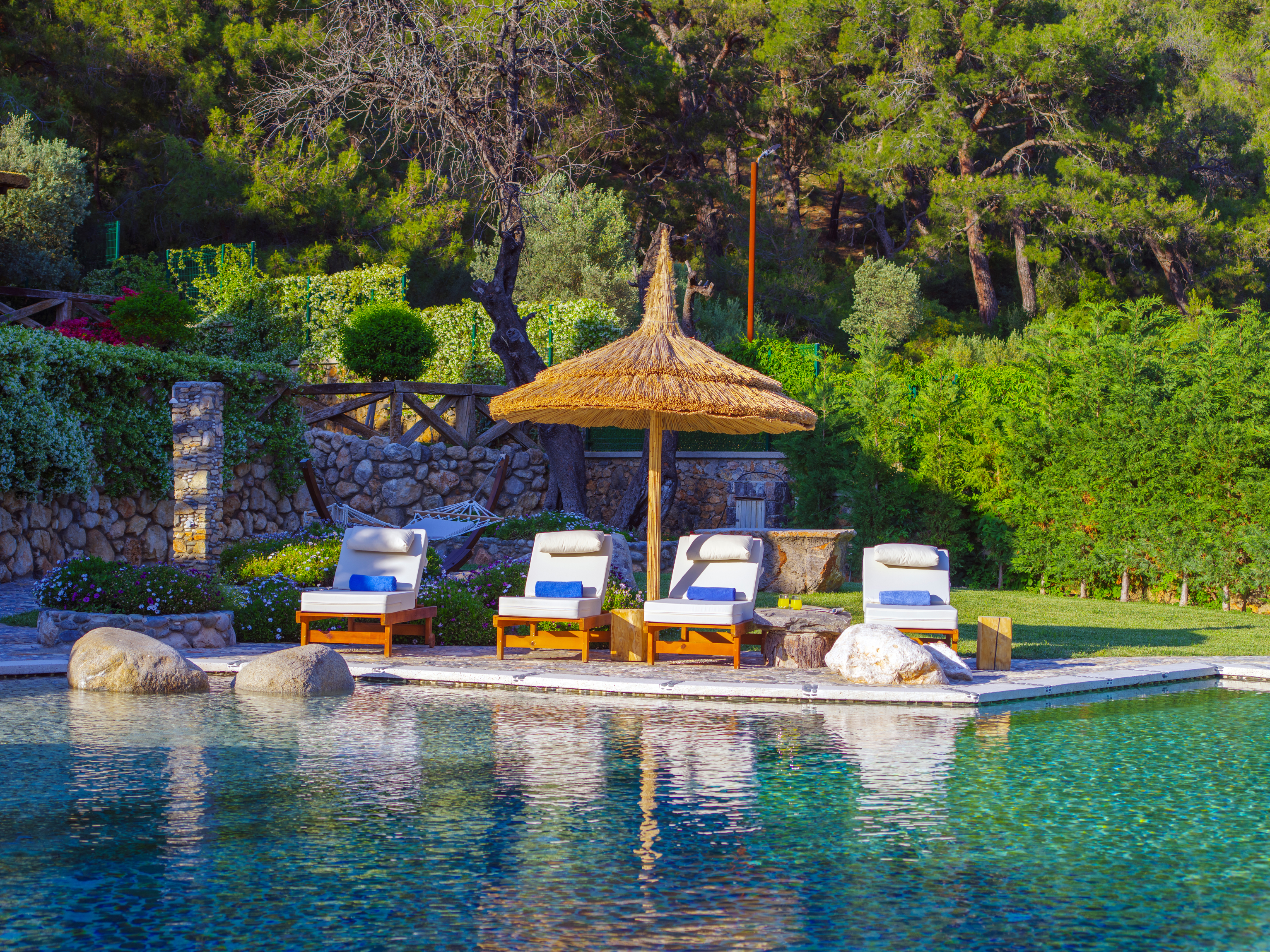 Villa gemile poolside sunbeds forest garden