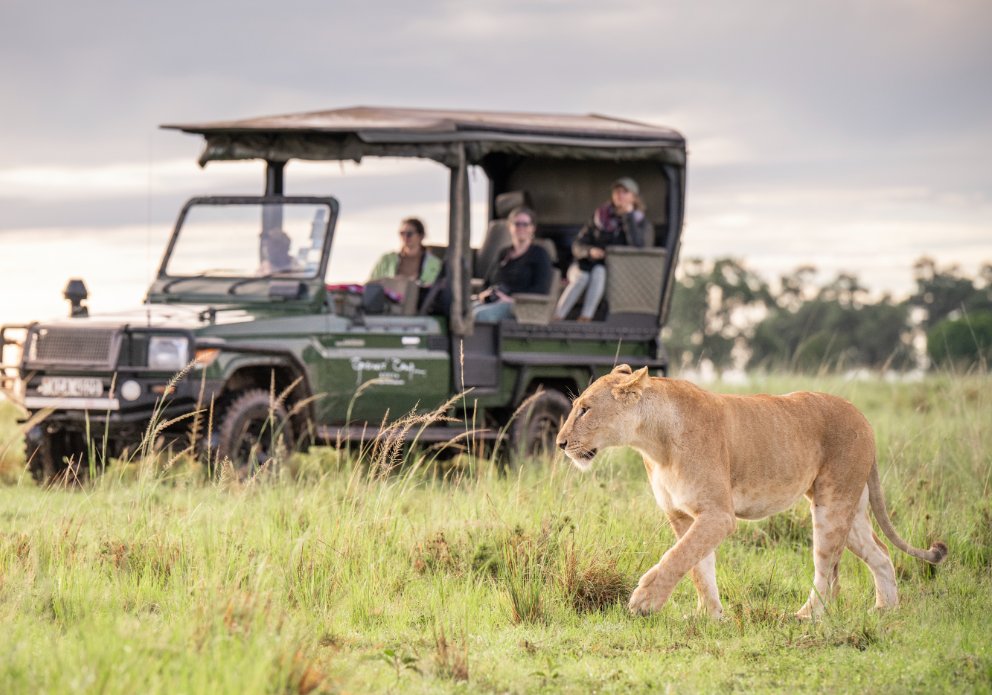 On safari 10