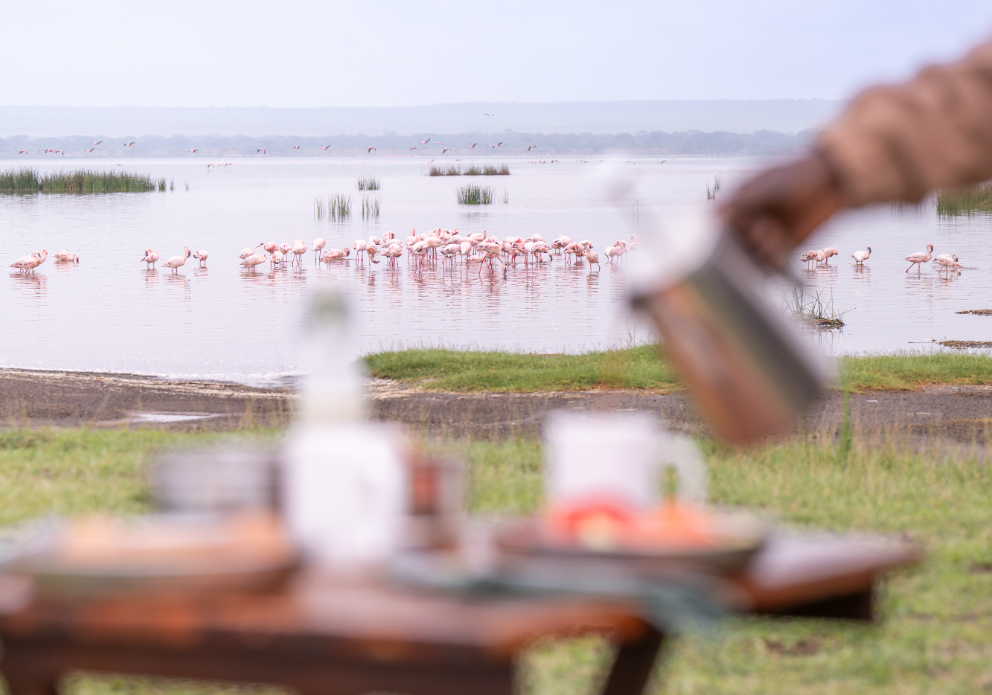 Loldia House en Naivasha