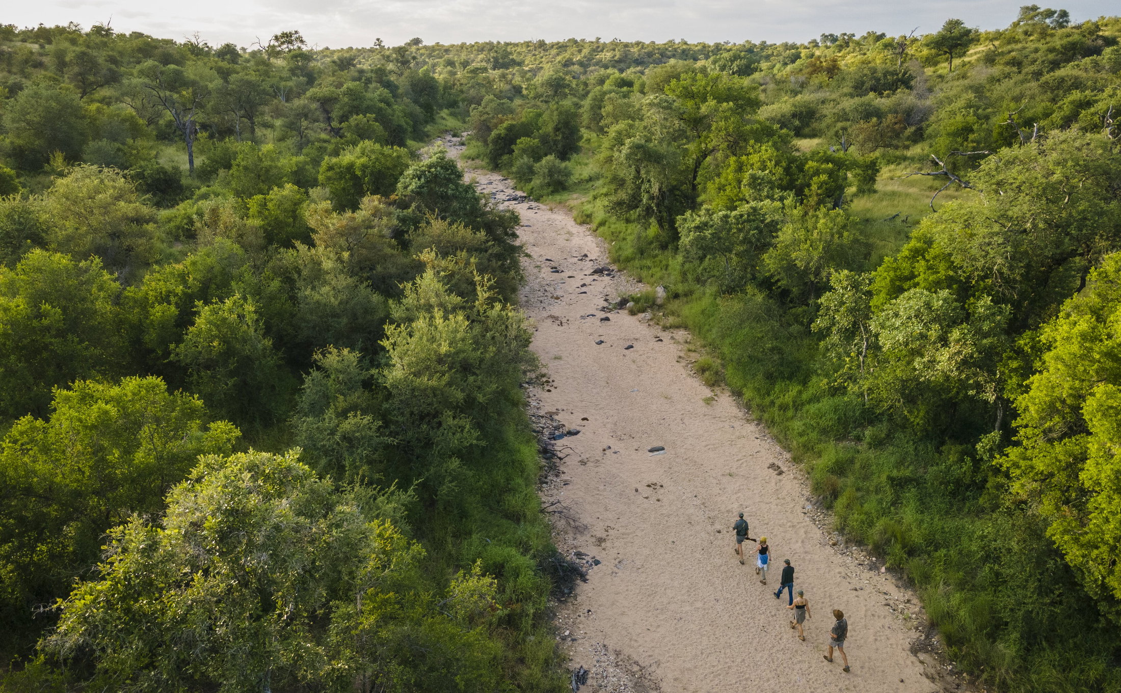 Misava Safari Camp en Klaserie Private Nature Reserve