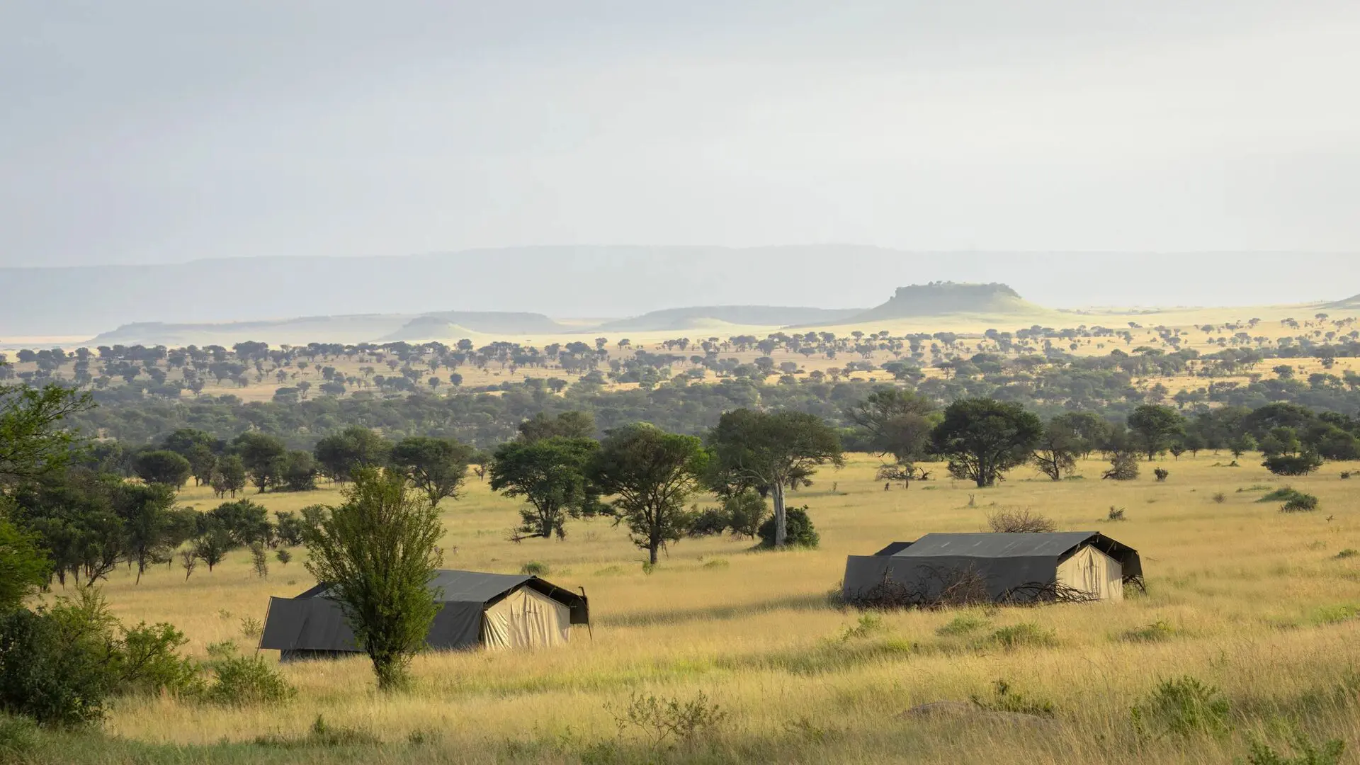 Asilia africa olakira migration camp jpg