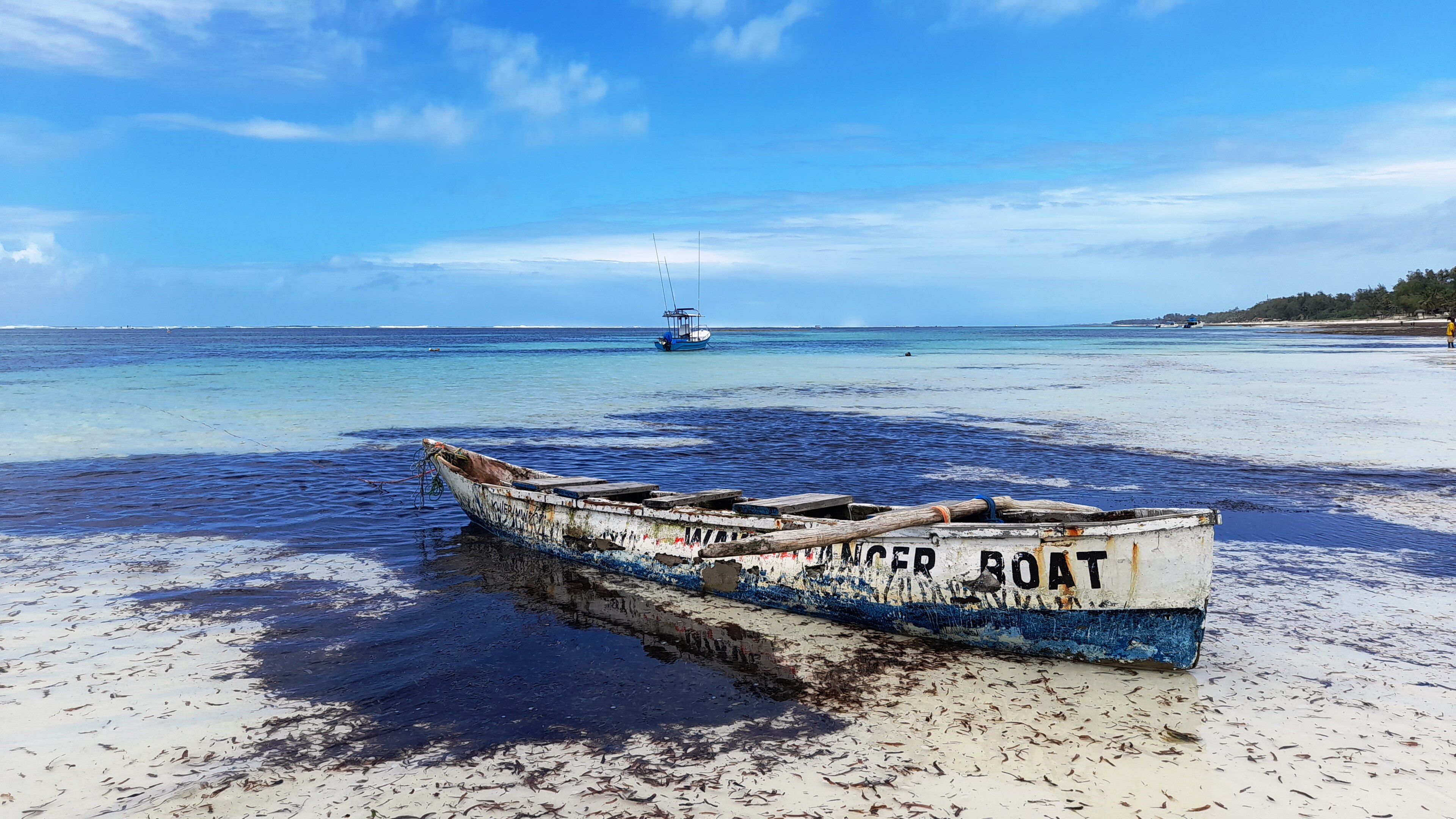 Diani Beach | LAT.40