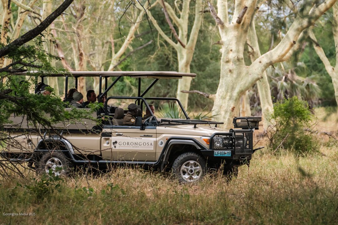 Gorongosa National Park | LAT.40