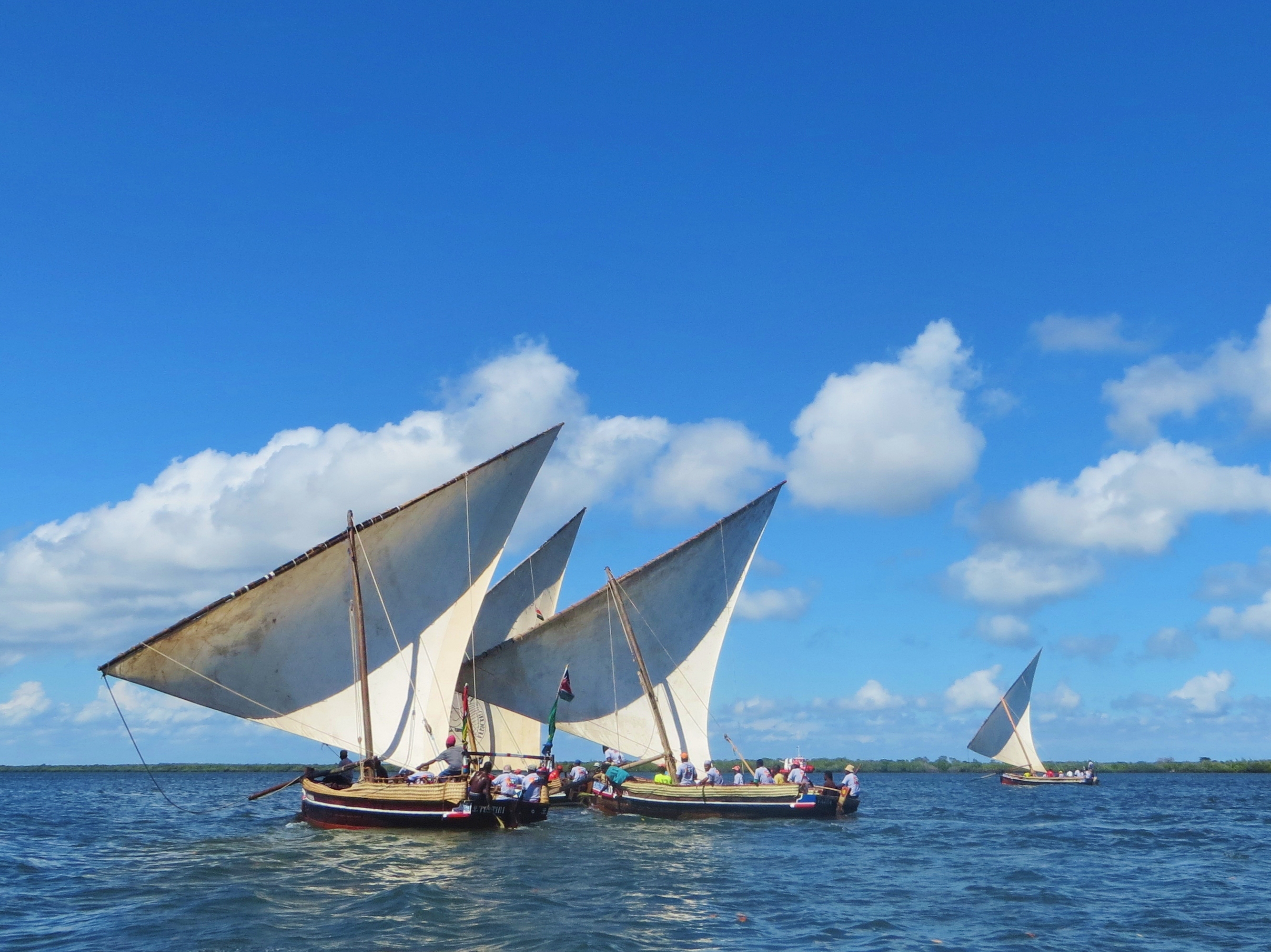 Lamu | LAT.40