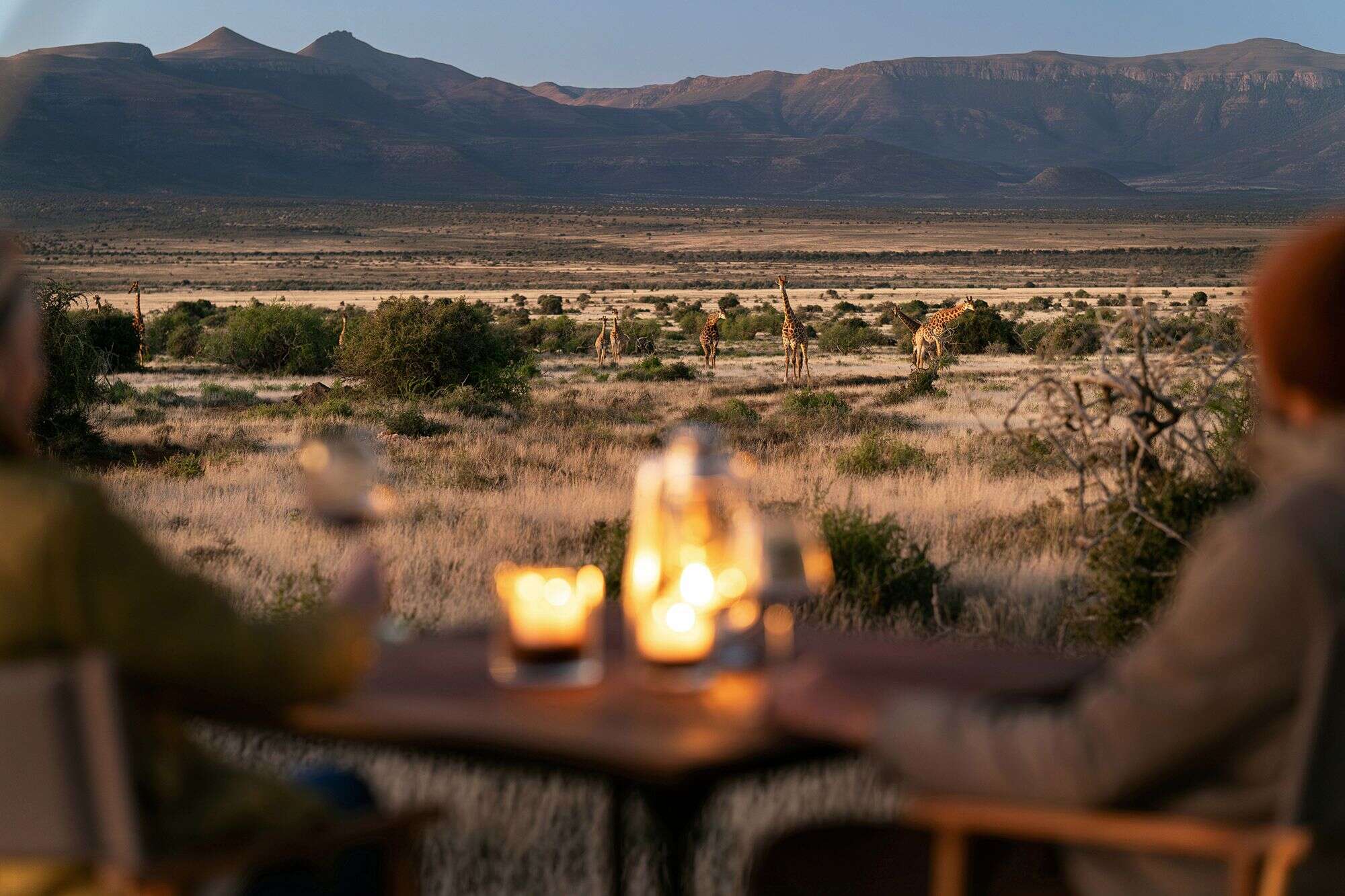 Samara plains camp view giraffe honest work maike mcneill