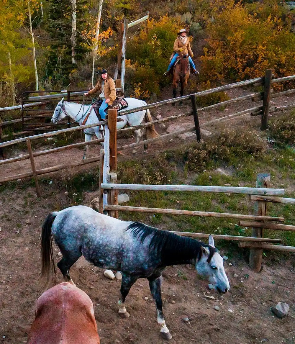 vista verde luxury resort ranch horse vacation